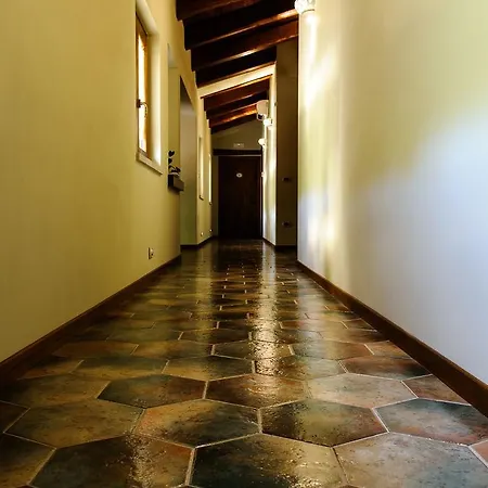 Domus Otium *